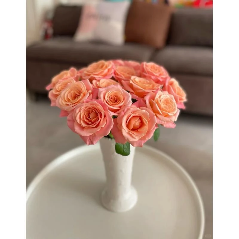 【猪小姐单头玫瑰】鲜切花两单普快两三顺丰冷链云南基地直发玫瑰