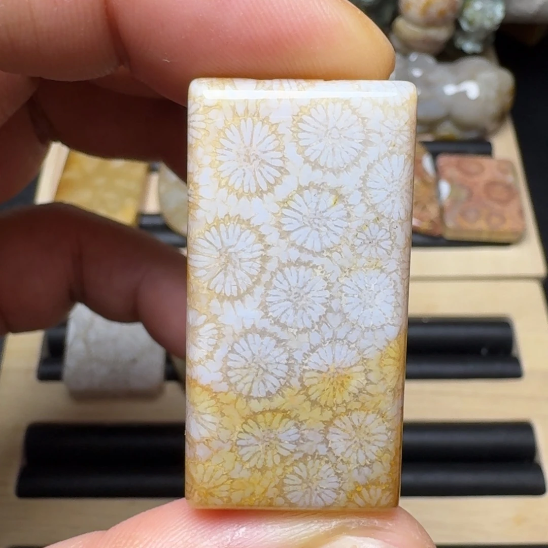硅化玉未镶嵌纯天然色有机玉石保真色