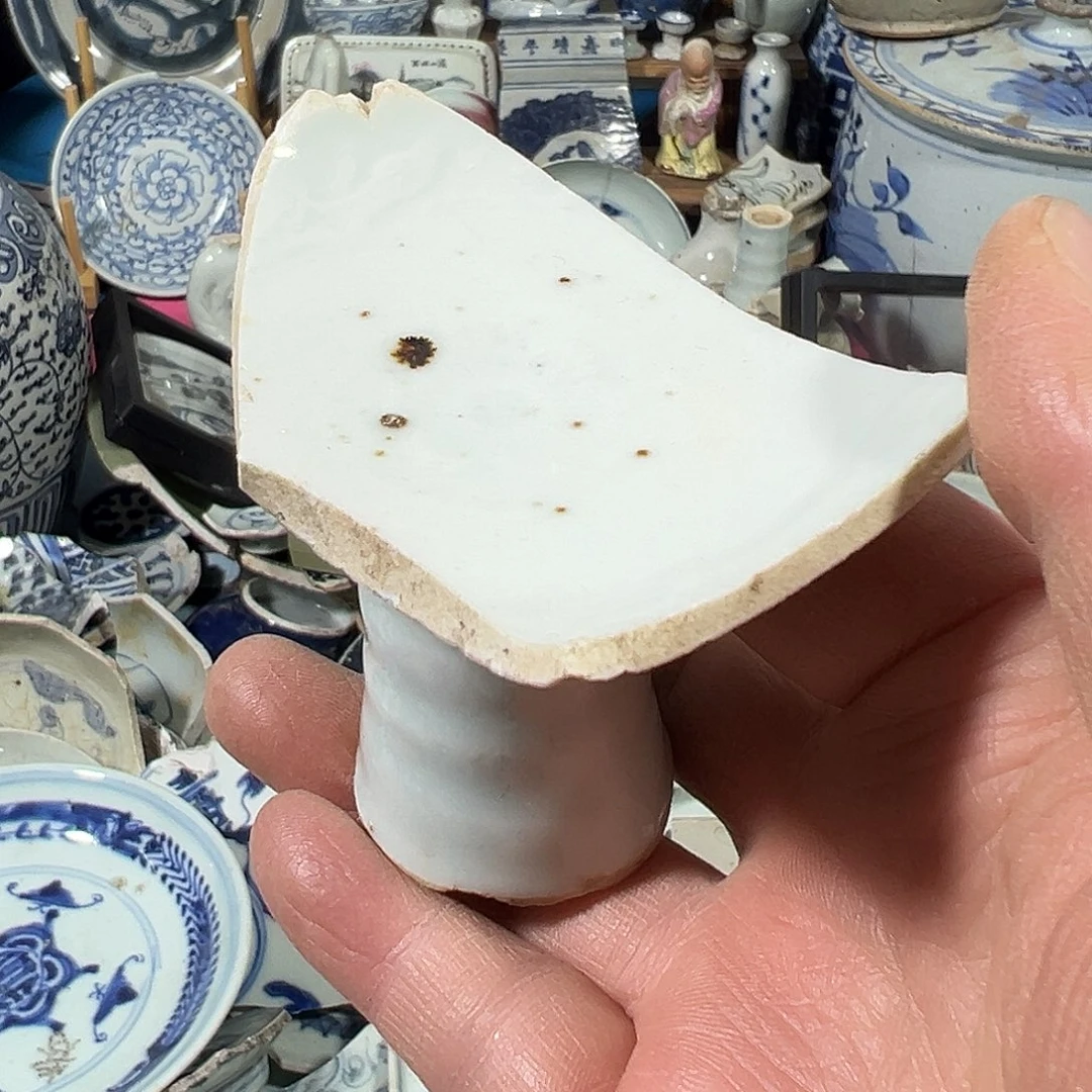 坚***守瓷片瓷片标本，全场包邮