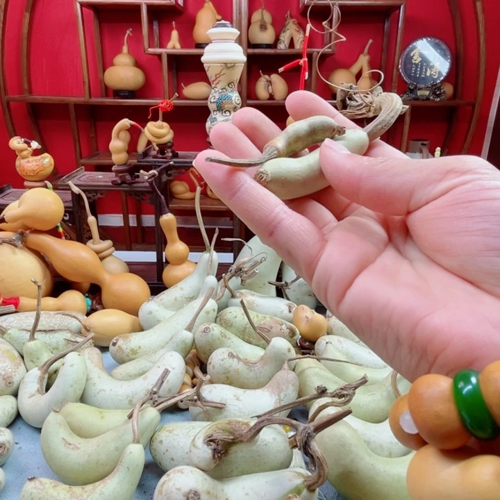 哇***咔谢谢张笑嘻嘻笑嘻嘻