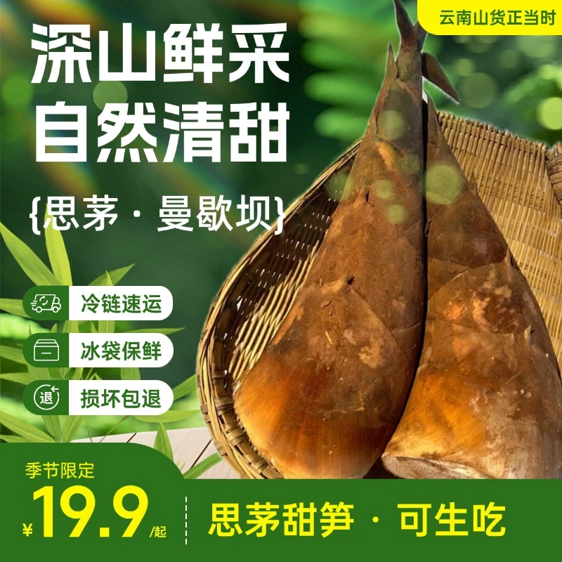 【开播福利】新鲜现发云南甜笋山货健康低卡可生吃煲汤清炒白灼