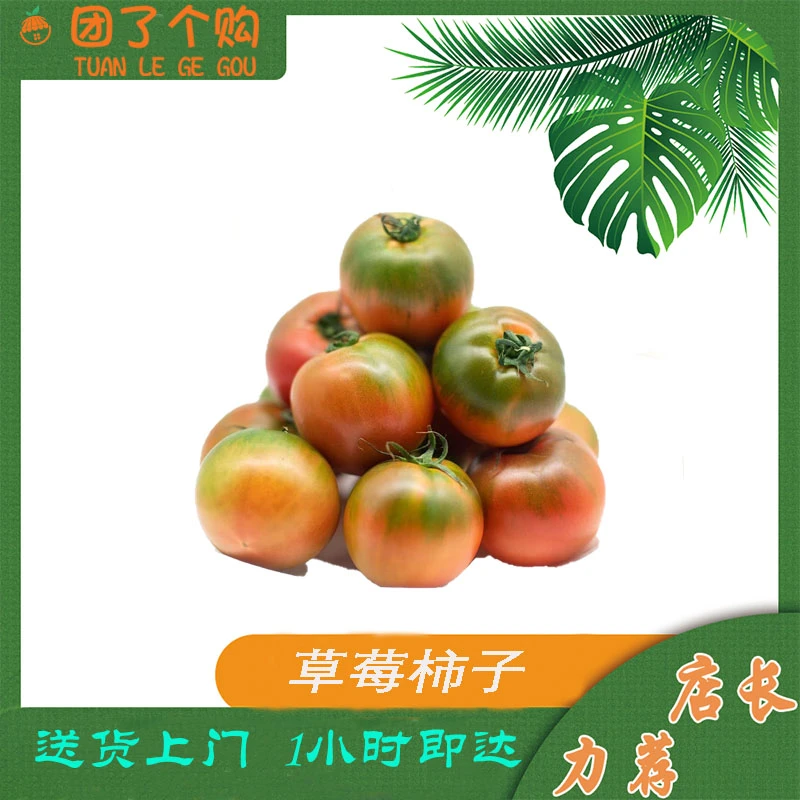 草莓西红柿2.8-3斤左右番茄同城送
