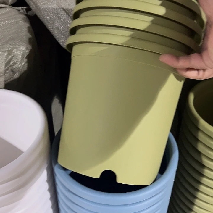 圆3号绿5个无托盘