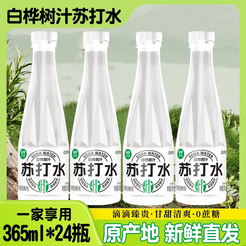 愉果先生白桦树汁苏打水饮料网红饮品365ml*24瓶整箱
