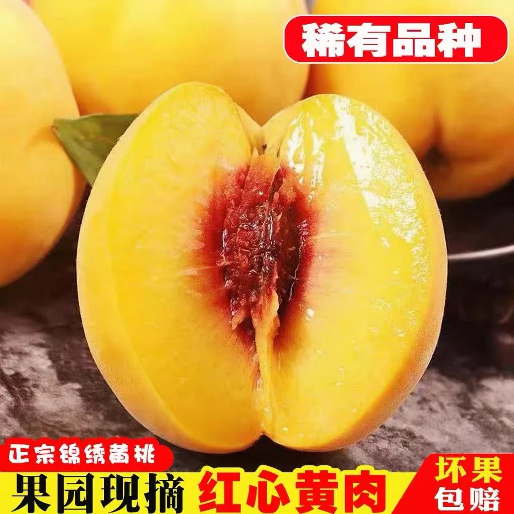 桃子新鲜水果当季整箱3/5/9斤现摘现发红心黄皮湖北正宗锦绣黄桃