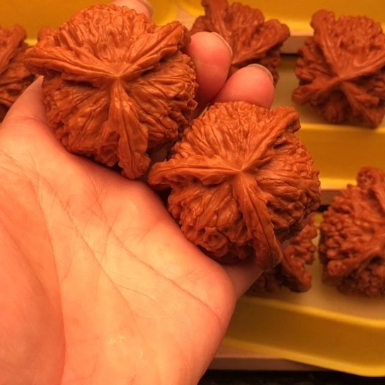 天***勤核桃核桃核桃和他的和他的