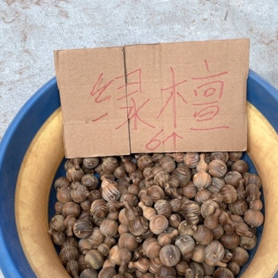 非洲紫檀（红花梨）
