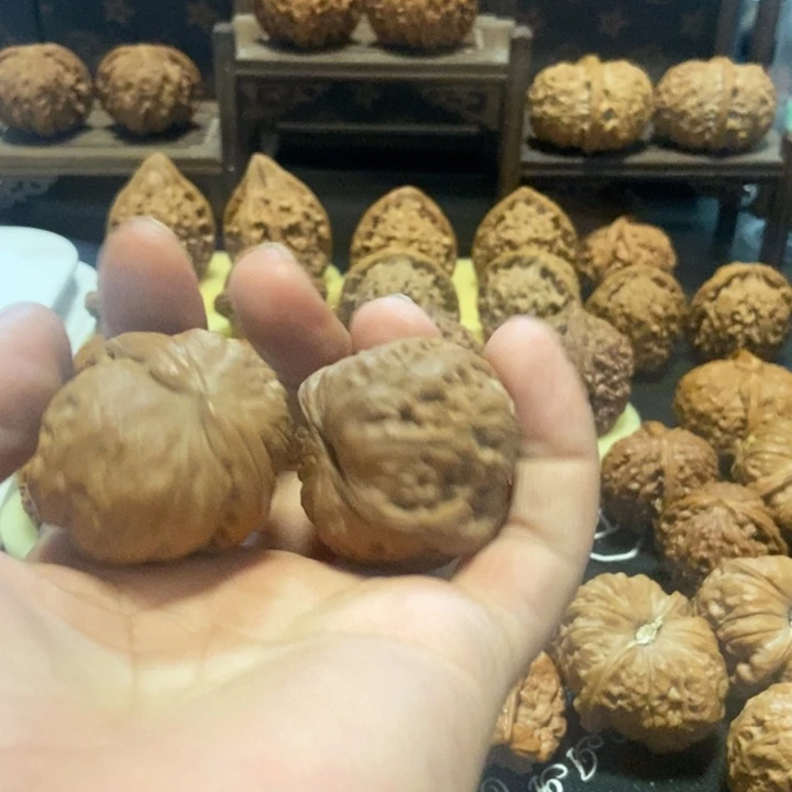 福***乐元宝13334号和第十一