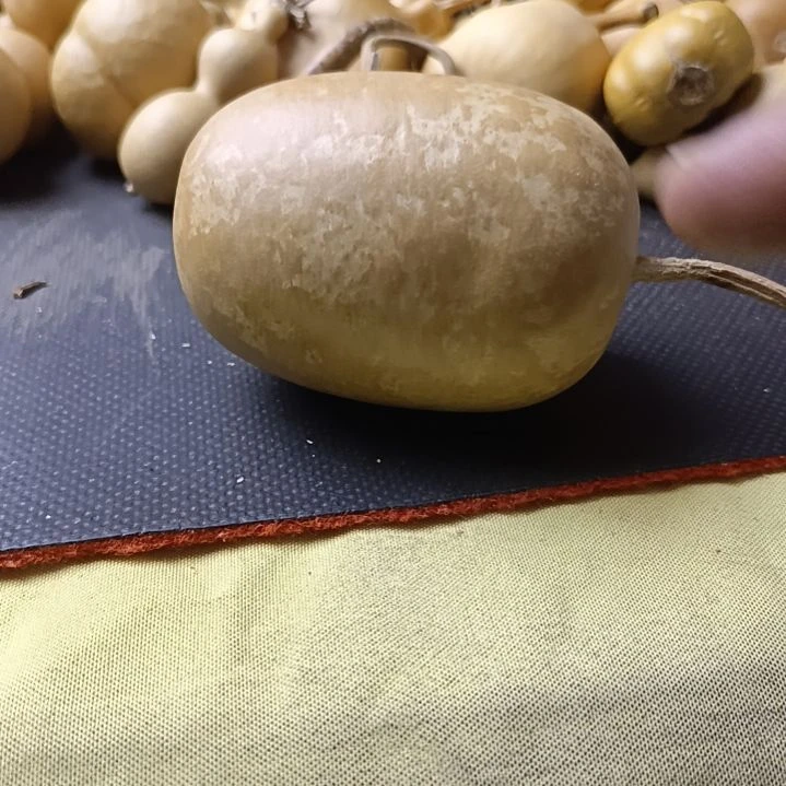 随****行全品无瑕厚皮冬瓜葫芦