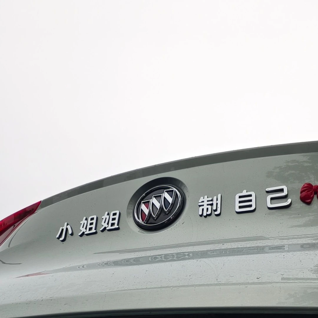 适用车贴别克瓜子网红搞笑创意大众个性车标文字标贴汽车贴纸装饰