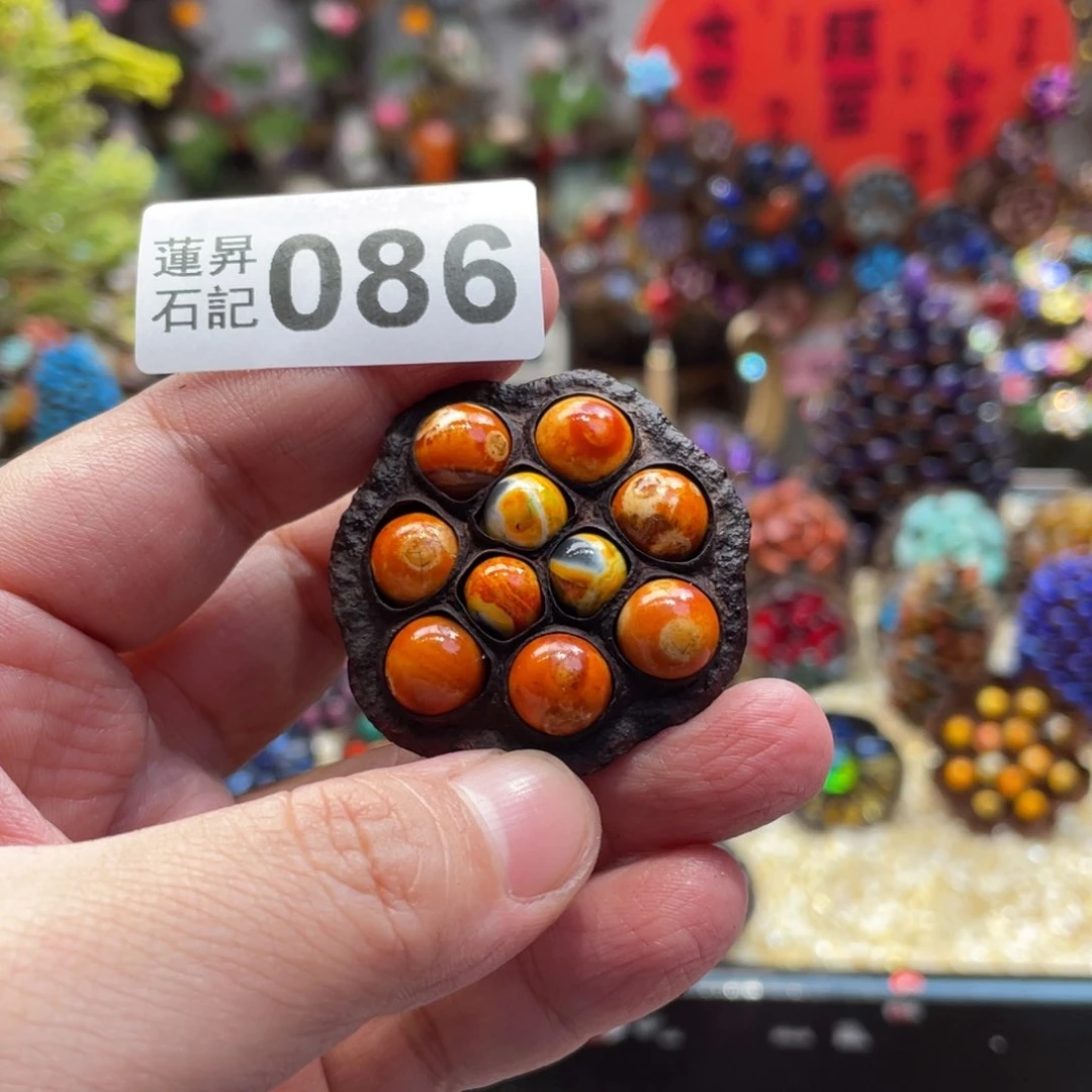 核桃木/黑胡桃（胡桃木）叶****菡086