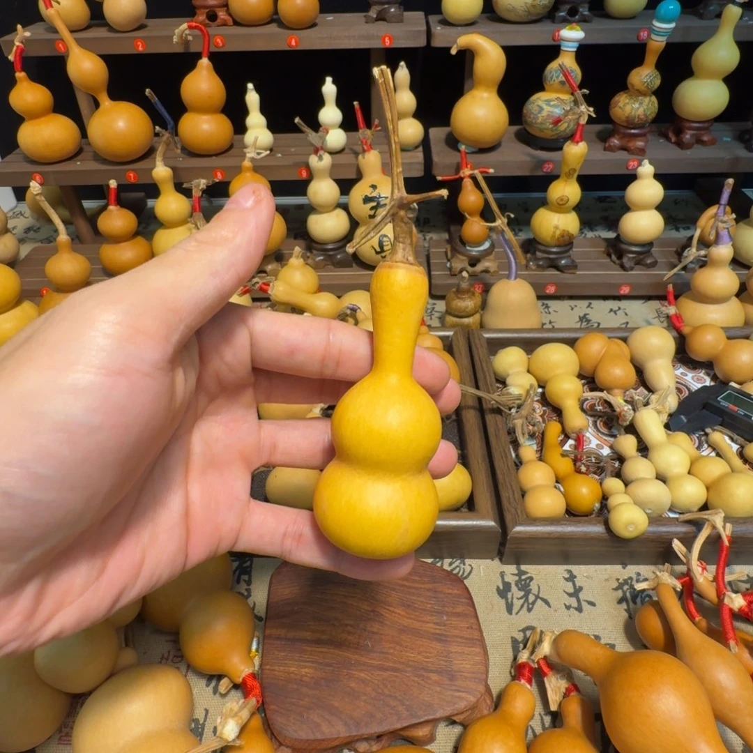 蹄***稳葫芦111111111111111111