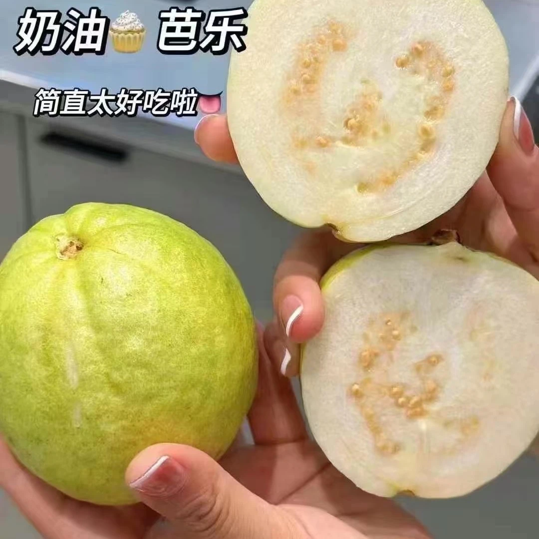 小胖堆芭乐一袋糯甜