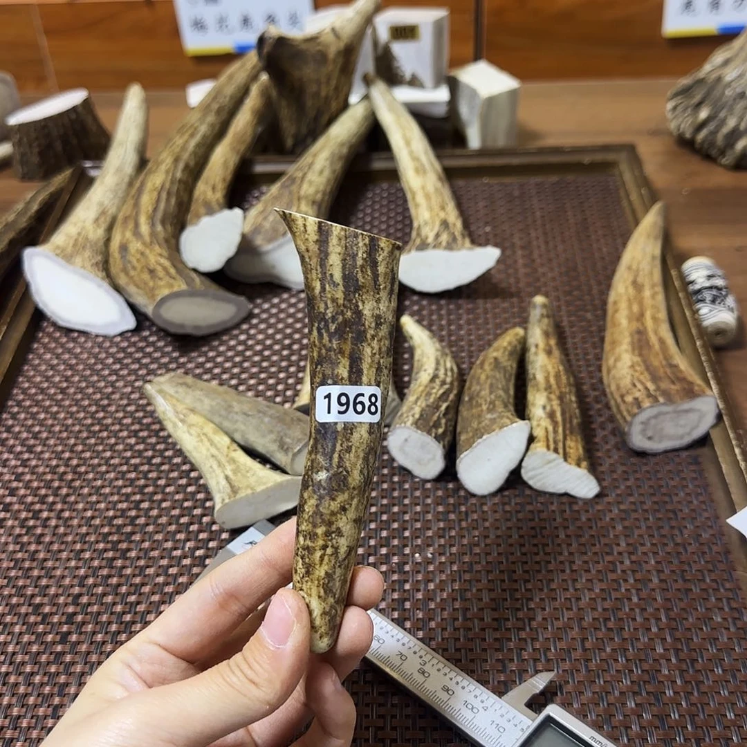 手串/手链鹿骨1968角尖