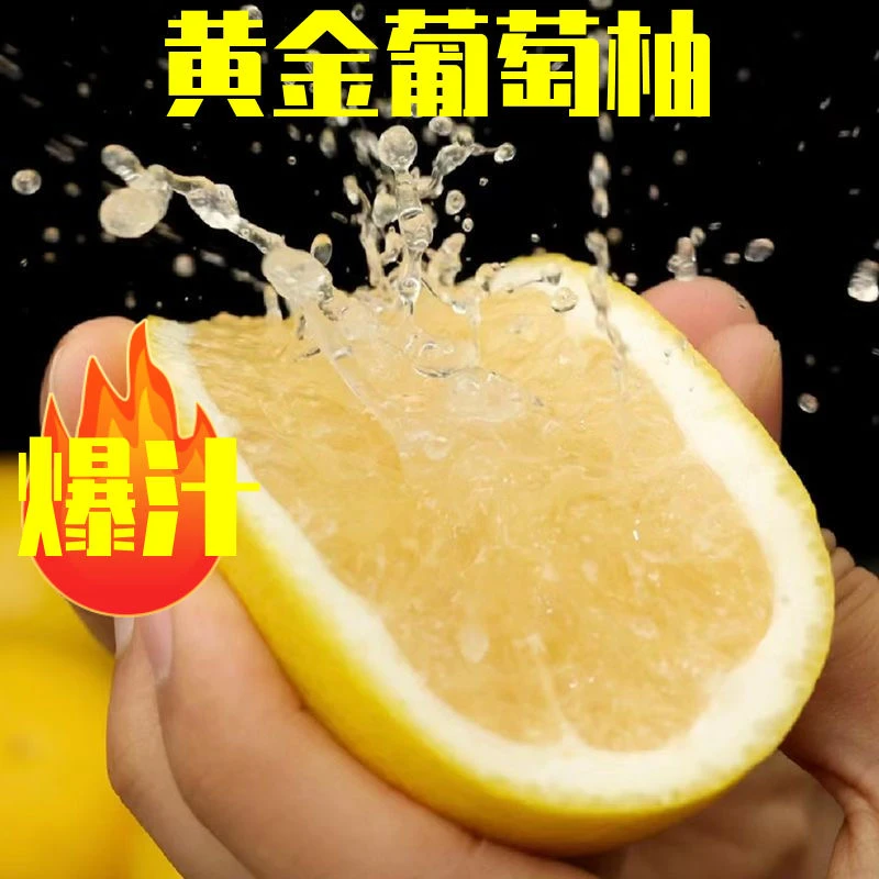 正宗福建平和黄金葡萄柚纯甜黄肉新鲜爆汁新鲜应季