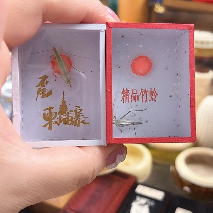 哈哈哈柬埔寨紫竹各一个
