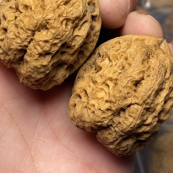 把件文玩核桃云南铁核桃66