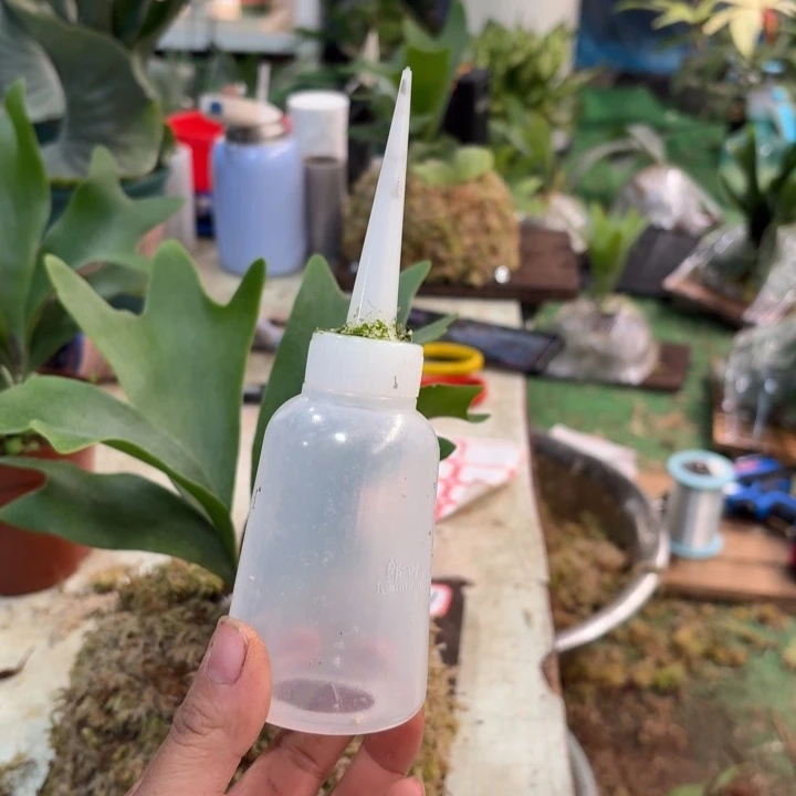 辉***仔完全开放滴水瓶150