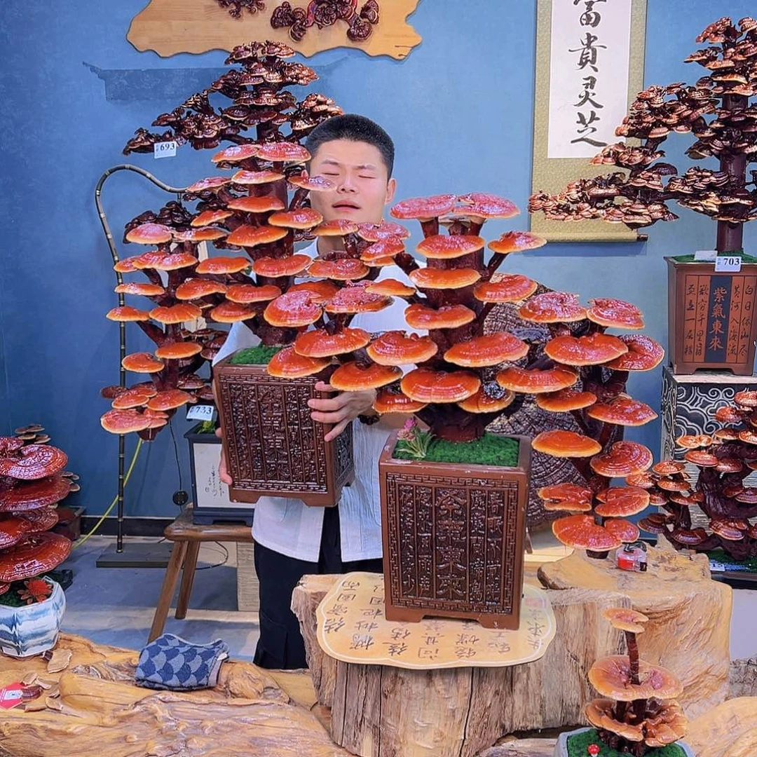 无花朵8888888888888888