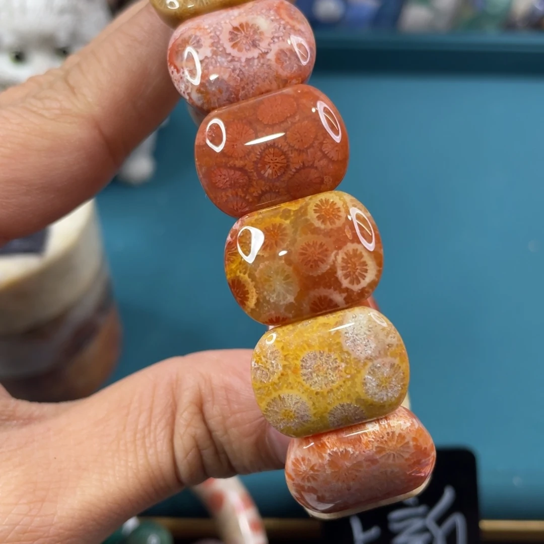 未镶嵌手镯硅化玉