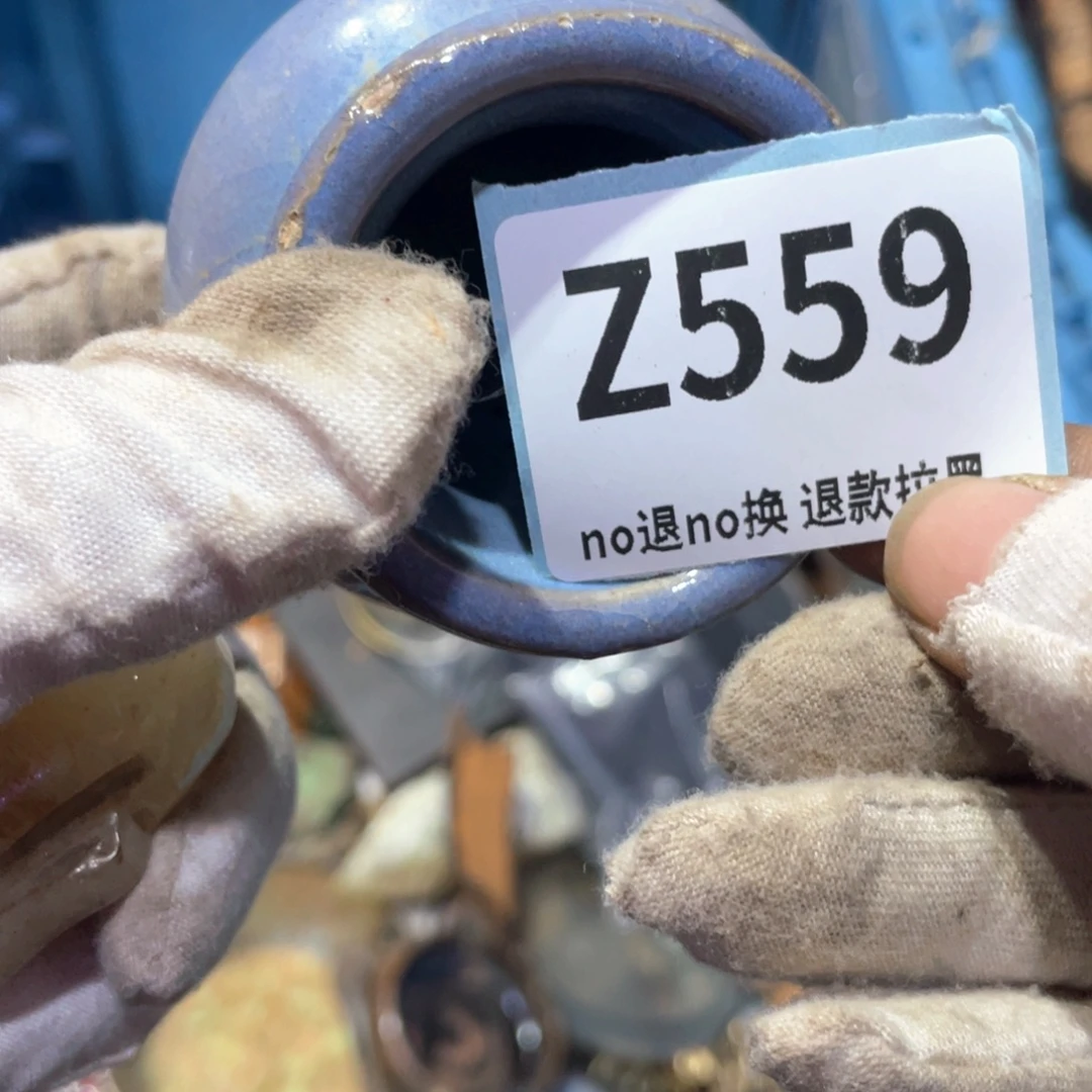 贝***计瓷片火爆热卖火爆热卖