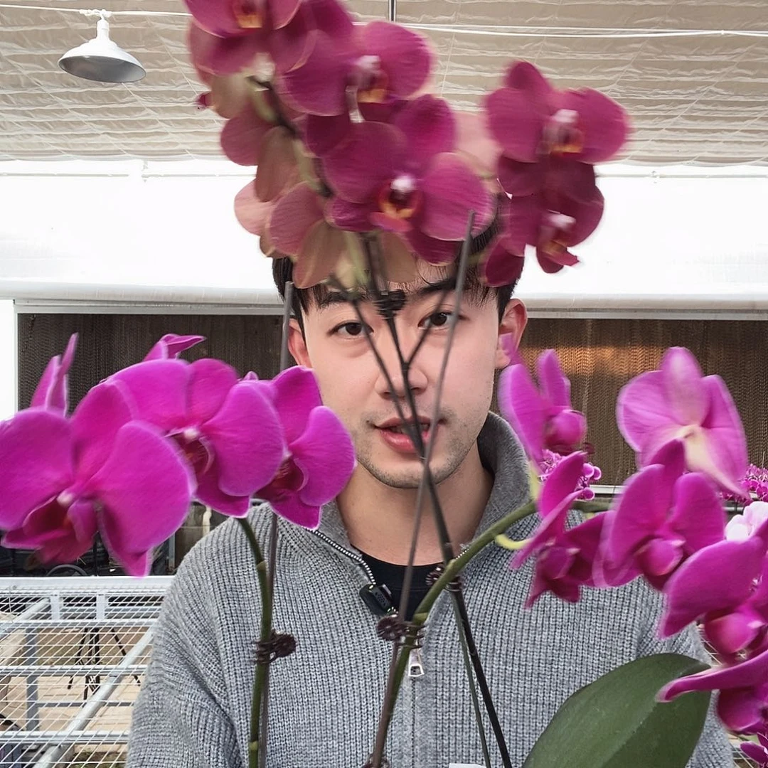 姗***迟完全开放突尼斯加方丹