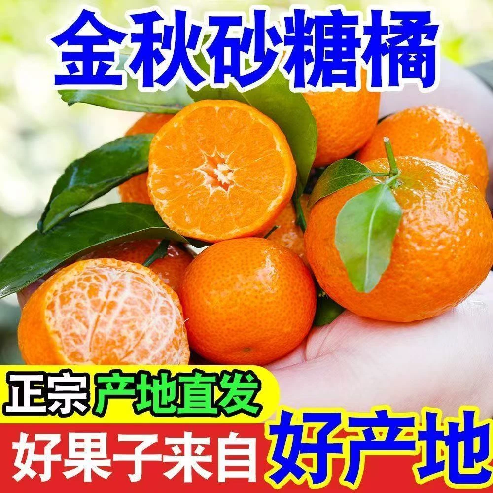 砂糖橘新鲜水果沙糖桔酸甜小橘子当季蜜桔孕妇整箱水果包邮