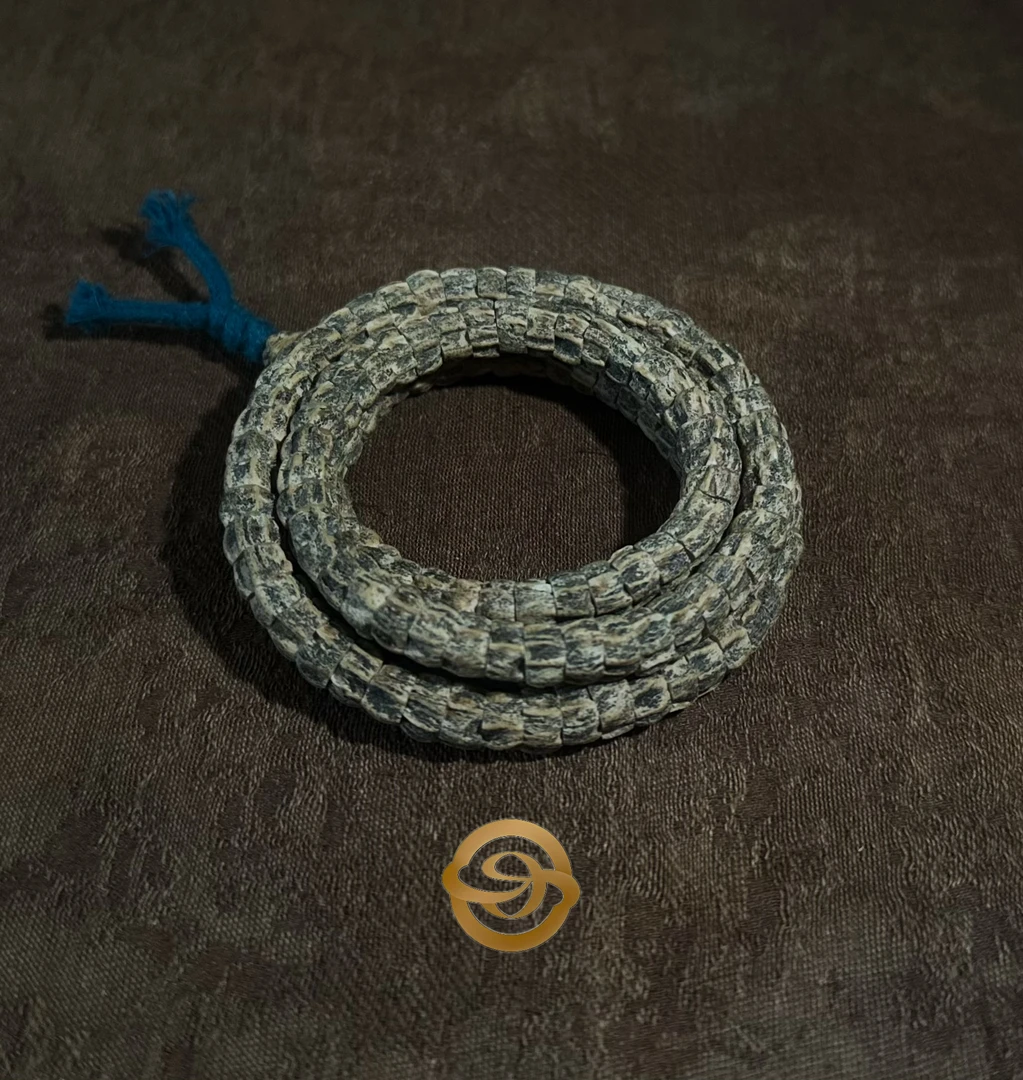 热振多棱顺鬼微斜切“蟒”