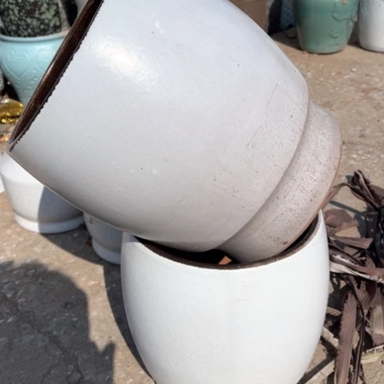 红陶口19高24瑕疵