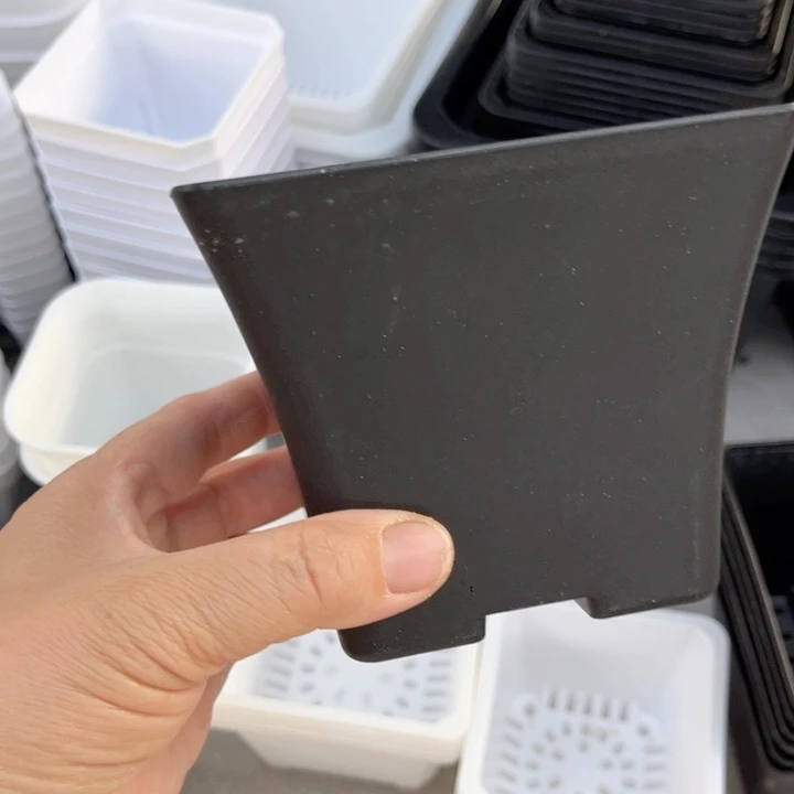 黑艺术盆口12高10