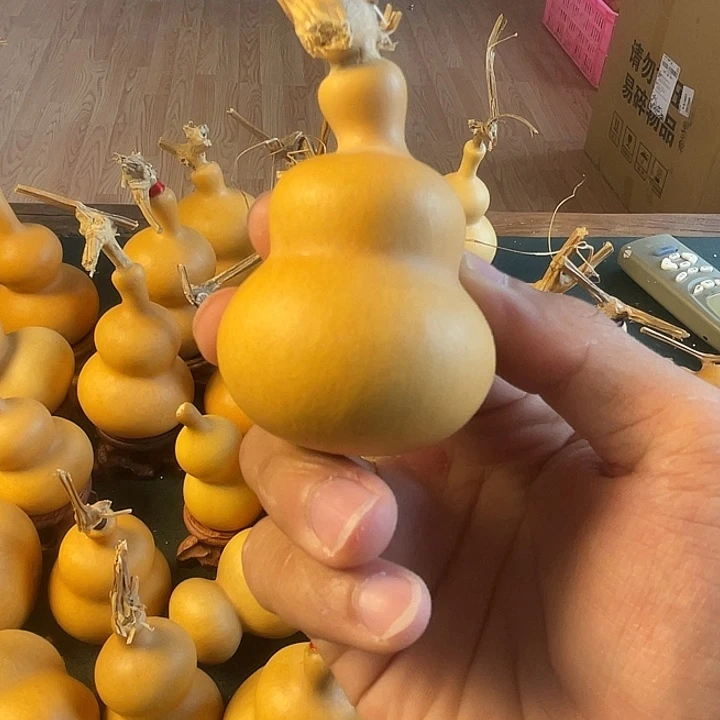 噤*高品质1111111