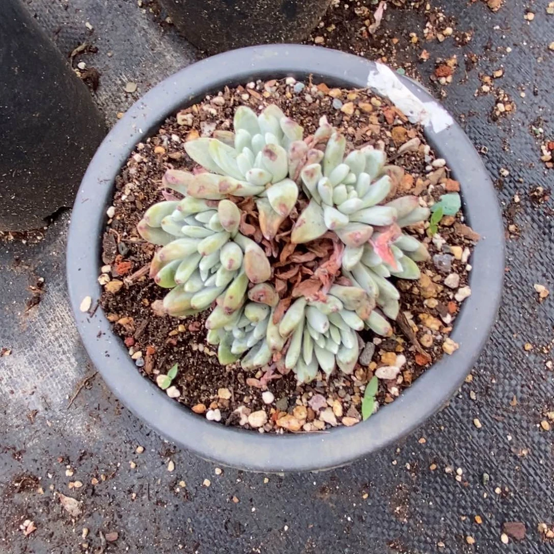 1225哈哈哈哈哈哈哈