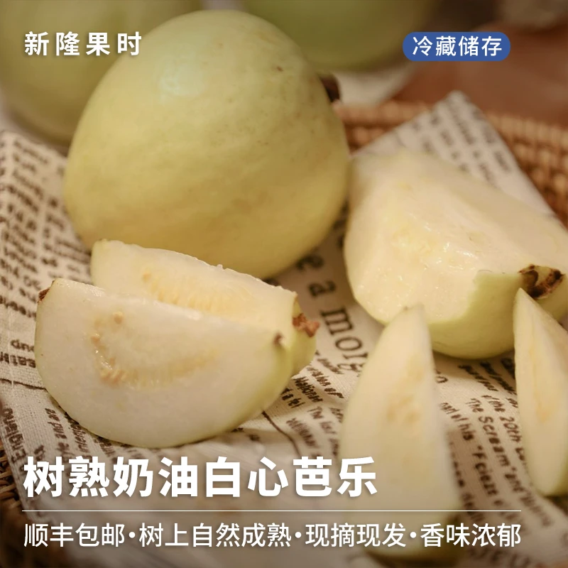 【顺丰包邮】福建树上熟奶油芭乐5斤装彩箱装白心芭乐水果香糯清甜