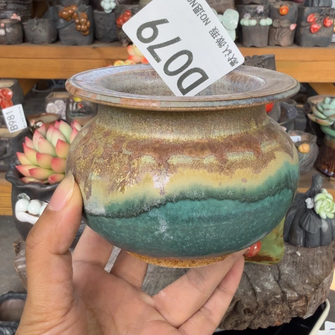 十***龙重庆小燕子欢迎大家079