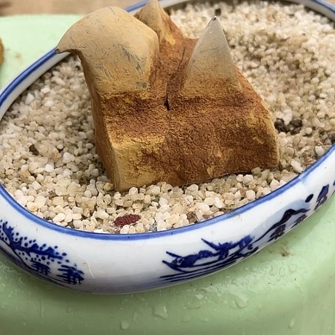 独*家居装修效果图