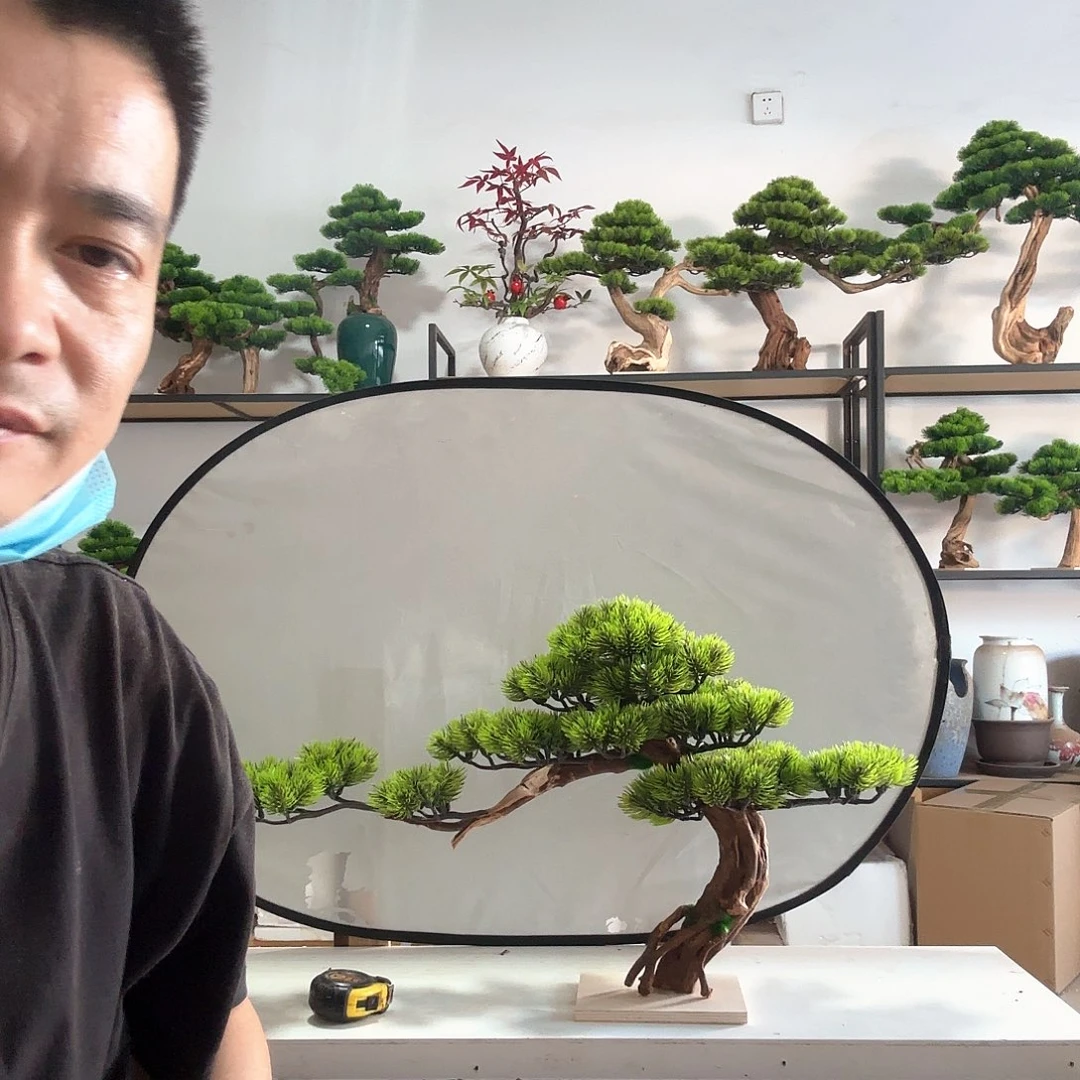 龙***神迎客松单独一棵树不含盆子