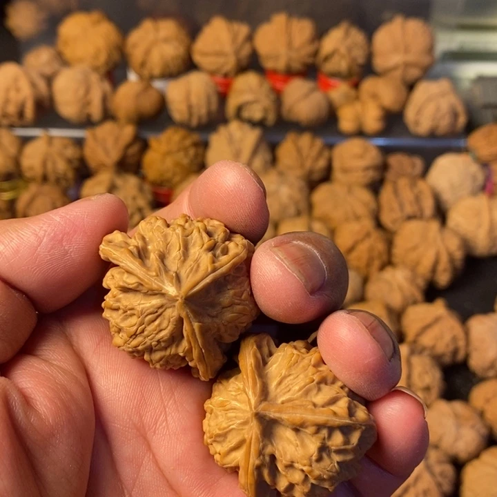 余***࿐大叶紫檀（黑酸枝木类）