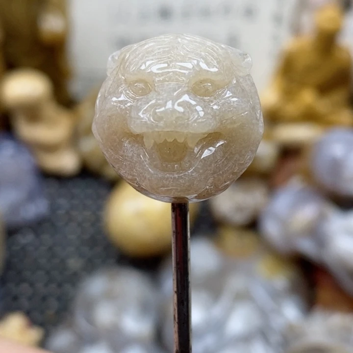 颈饰未镶嵌硅化珊瑚（珊瑚玉）