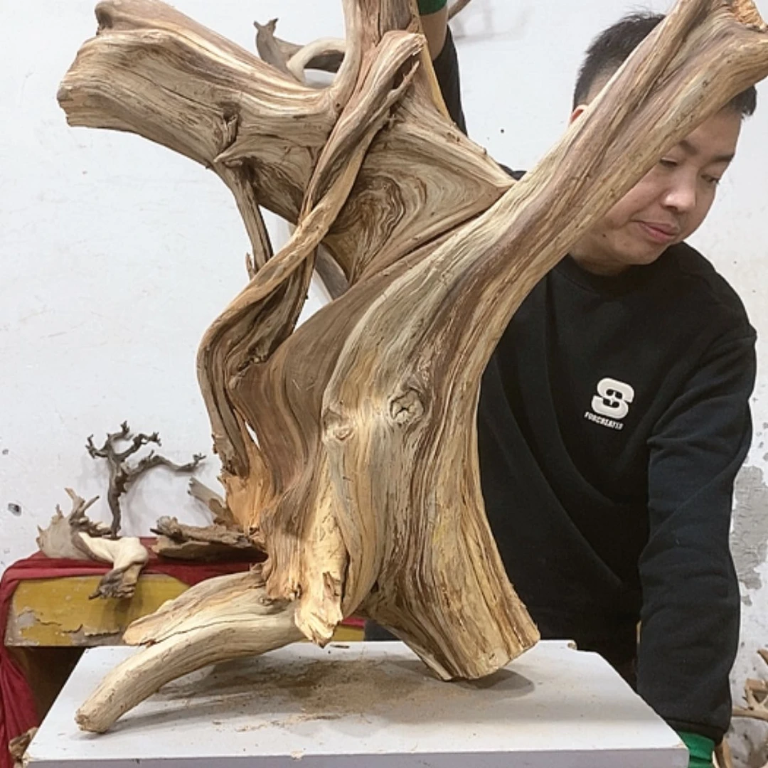 【闪购商品】柏木龙****艺我们都是好孩子
