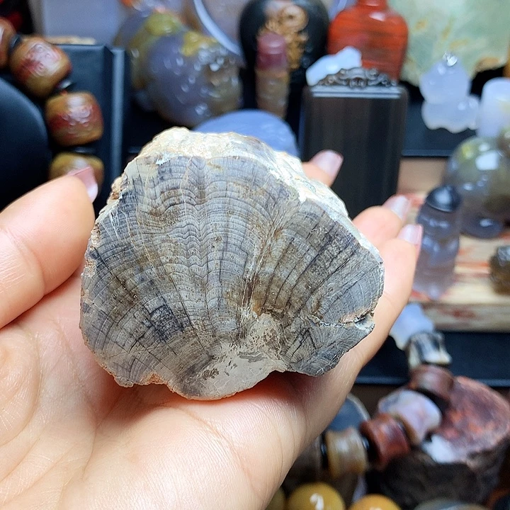 硅化玉未镶嵌吊坠(不含链)闪丝凤尾石