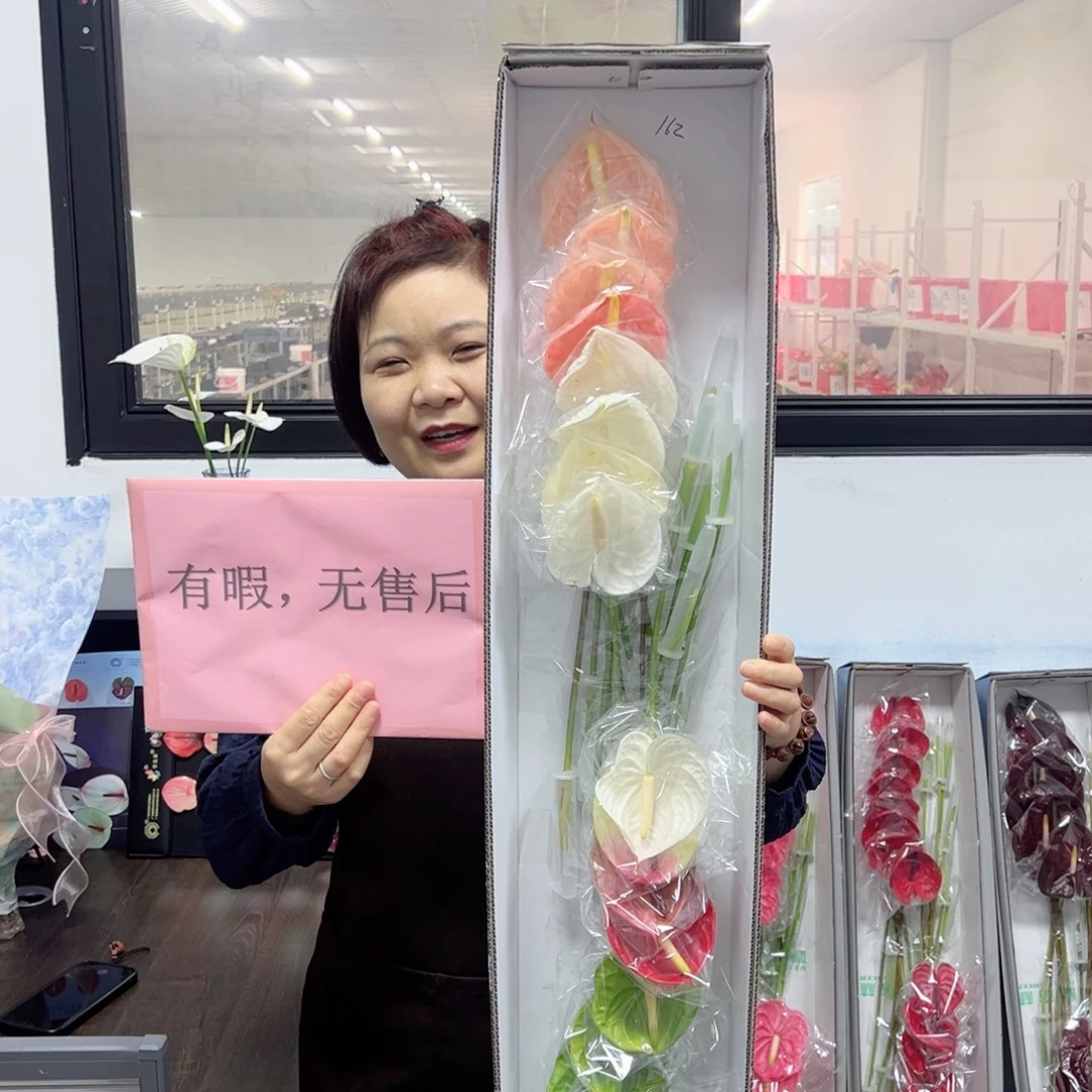 完全开放混色-16枝装无售后款162