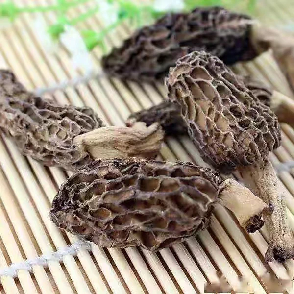 【晓晓土特产】羊肚菌