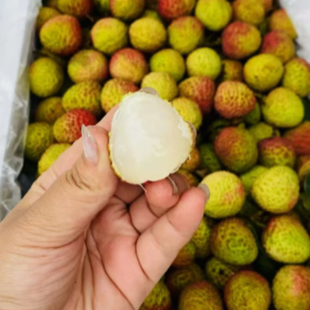 广东荔枝妃子：一箱48元，8斤左右荔枝同城送广东省