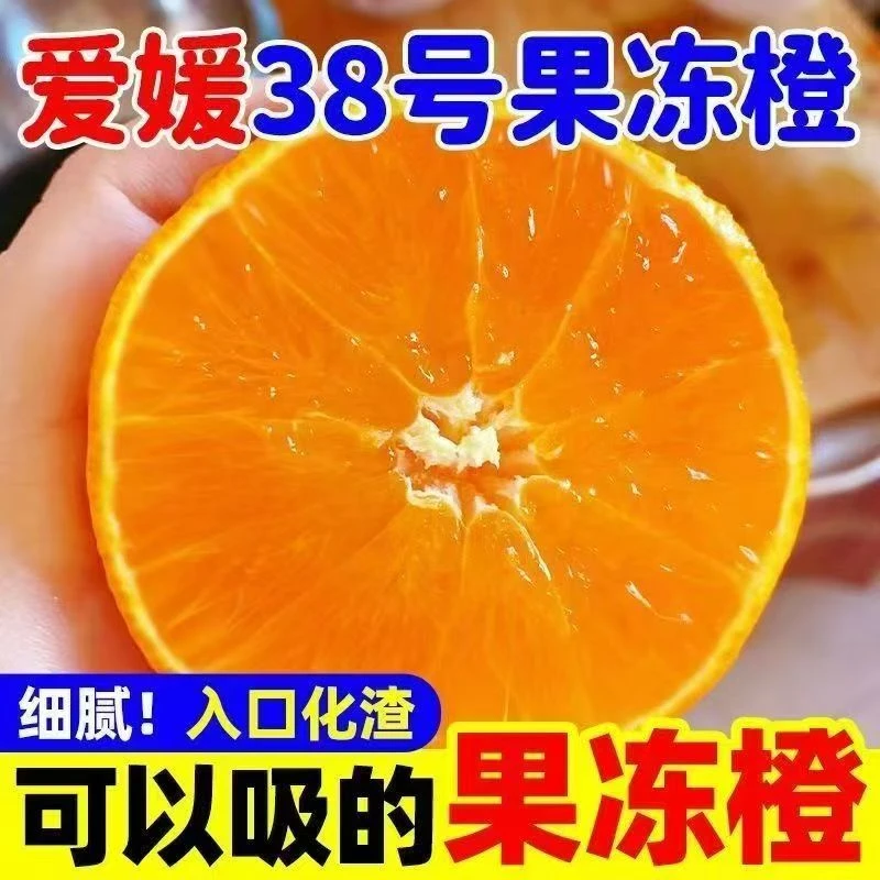 正宗四川爱媛果冻橙38号净重5斤单果90-110g【体验装】
