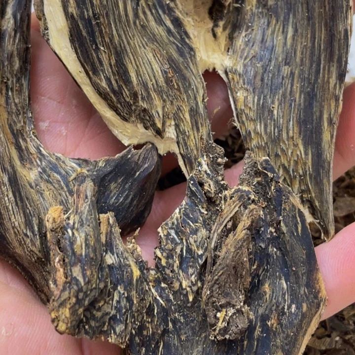 ****爪沉香沉香碎屑陆河