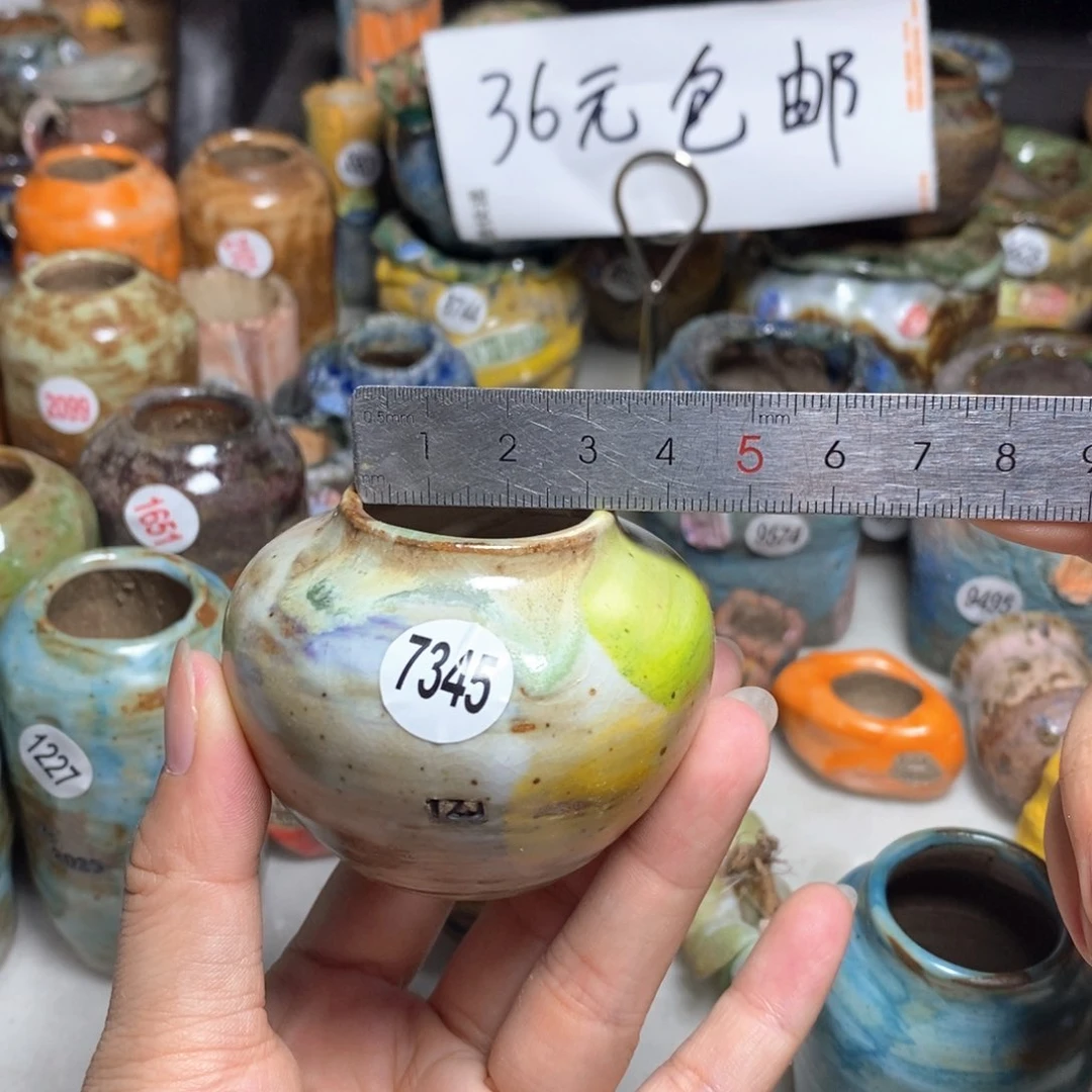 拍5送一个小礼物