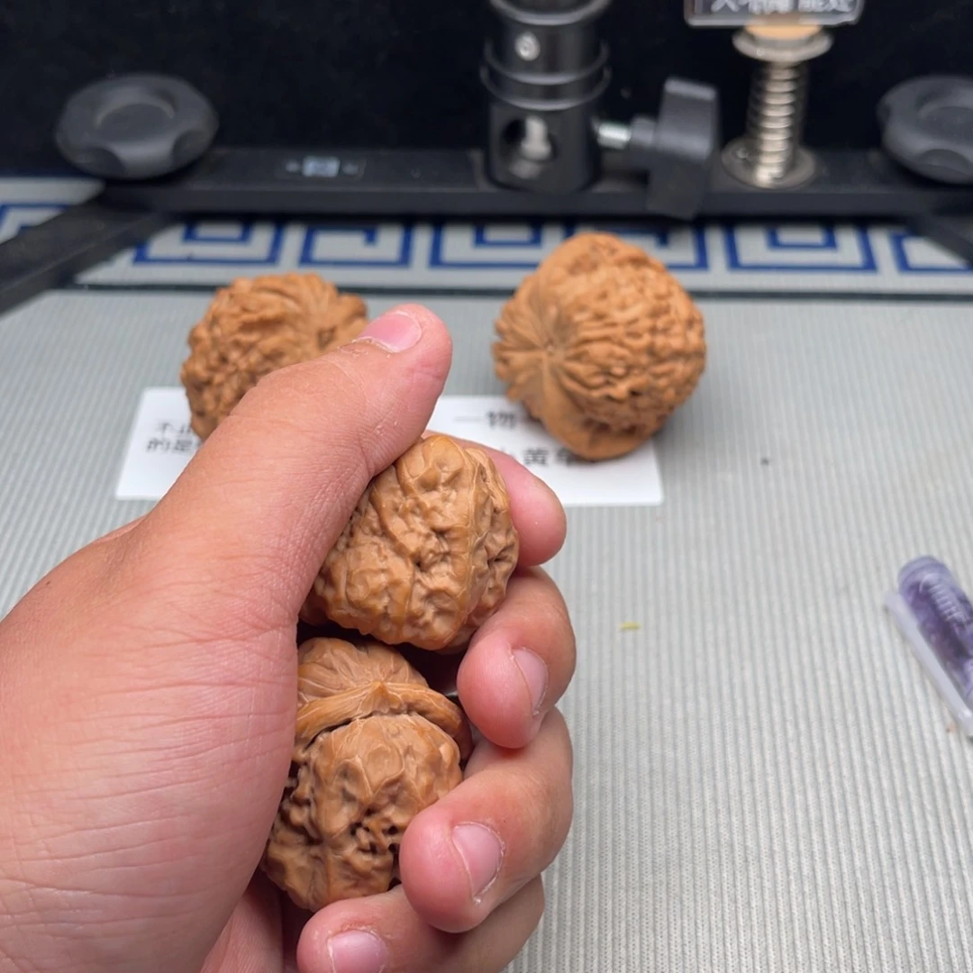 无***牛哈哈哈哈哈哈哈哈