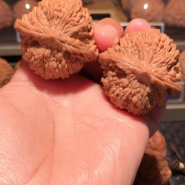 用****2文玩核桃把件满天星