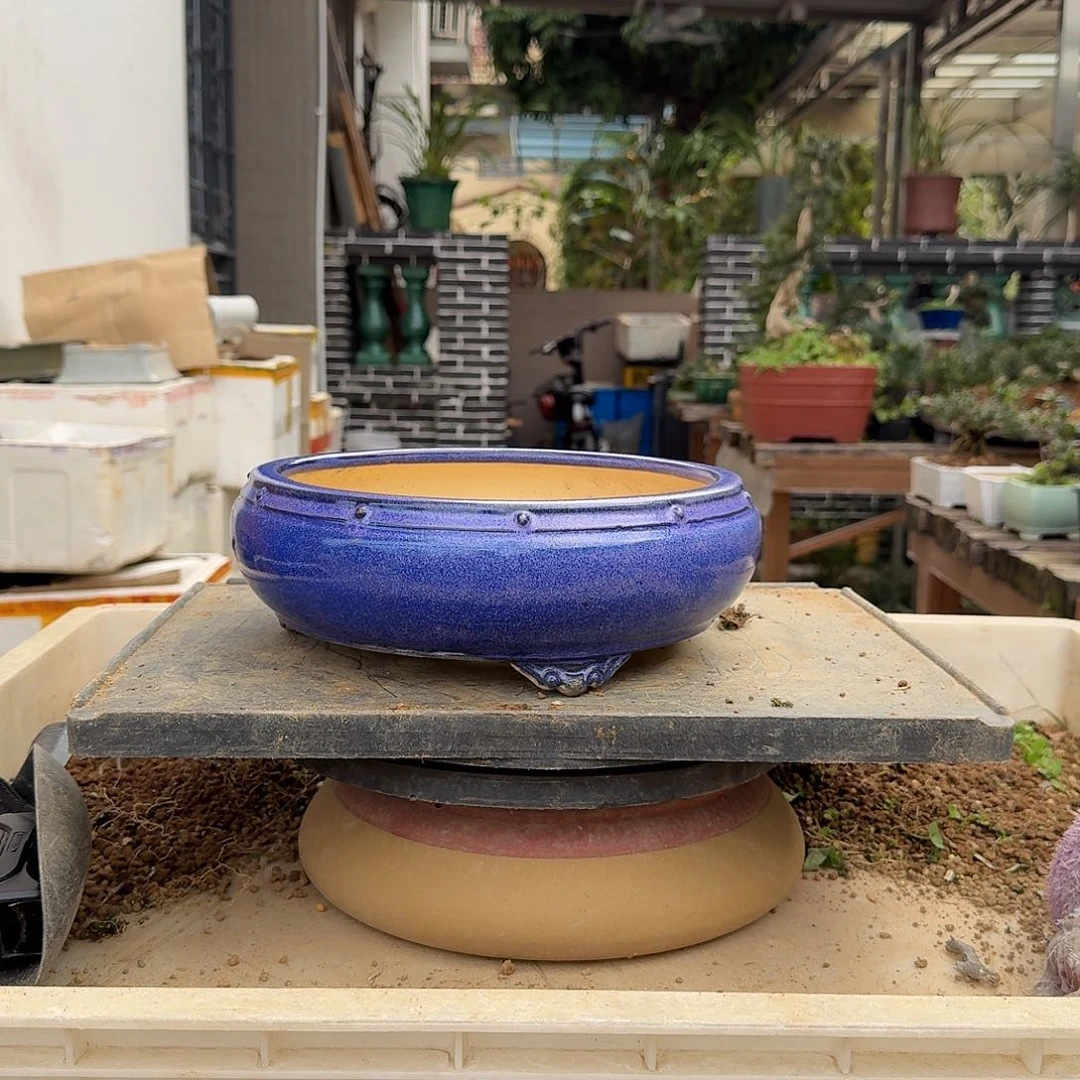 红陶等***四h h h h h h h g h g