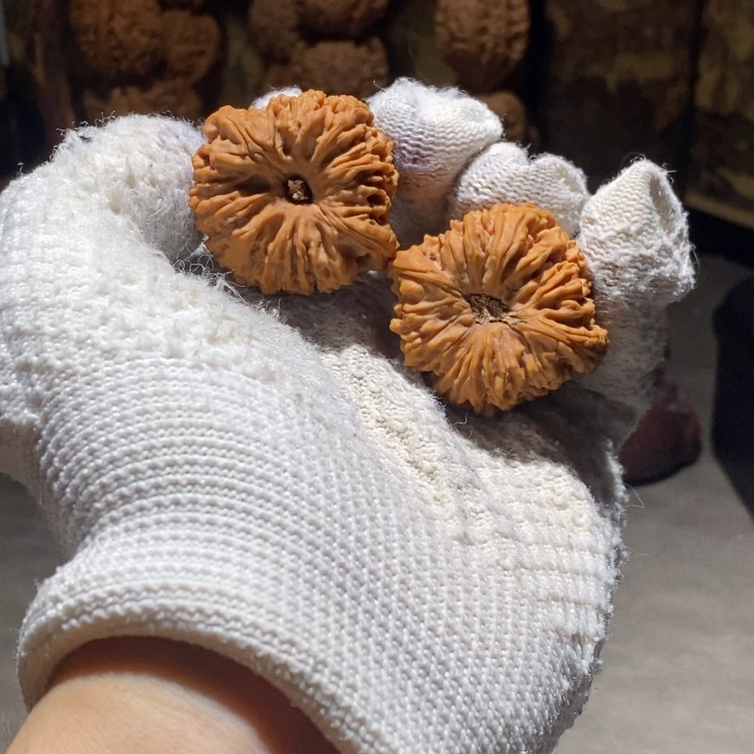 文玩核桃吊坠长***伟38+窝头凹底